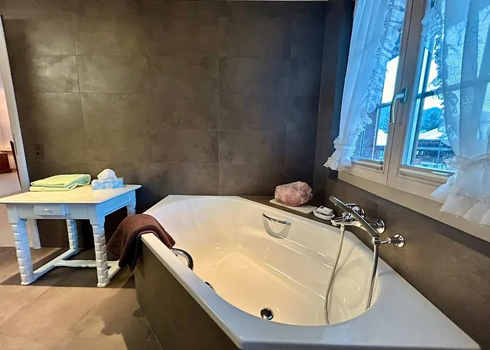 Center Luxury 1 * Gstaad