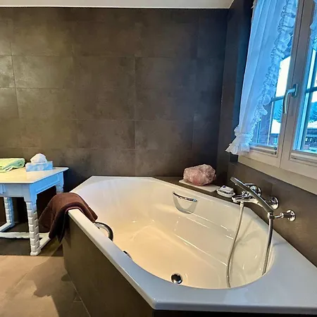 Center Luxury 1 * Gstaad